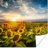 MuchoWow® Poster Blumen - Sonnenblume - Himmel 100x100 cm - Produktbild-Vorschau 1