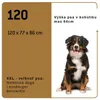 Maelson Soft Kennel faltbare Hundebox -anthrazit- L 92 - Produktbild-Vorschau 19