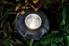 Pontec PondoStar Rocklight LED Set 3 Produktbild-Vorschau 6