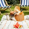 A kitten is sitting on a picnic blanket next to a picnic basket filled with flowers and bread. There are also slices of watermelon on the blanket. Náhled obrázku produktu