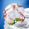Air Wick Duftstecker Starter-Set Paket inklusive 1 Geräte & Produktbild-Vorschau 2