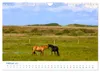 Langeoog 2027. Impressionen zwischen Hafen und Ostende Produktbild-Vorschau 5