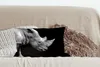 MuchoWow® Zierkissen Sofakissen Wohnzimmer Dekokissen 50x30 Produktbild-Vorschau 4