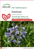 SAFLAX - Eisenkraut - Verbena officinalis - 250 Samen Produktbild-Vorschau 1