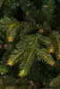 Black Box Trees Frasier Künstlicher Weihnachtsbaum - H185 x Produktbild-Vorschau 3