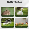 Wiltec 2-poziomowy domek dla gryzoni 871 x 547 x 1000 mm, Podgląd zdjęcia produktu 8