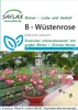 Artikelbild 1 von 'Wüstenrose' aus der Kategorie Bonsaisamen Anteprima dell’immagine prodotto