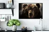 MuchoWow® MuchoWow® Gerahmtes Poster Nahaufnahme Braunbär Produktbild-Vorschau 3