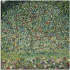 ARTland Leinwandbild Apfelbaum I. 1912 Größe: 30x30 cm Produktbild-Vorschau 1