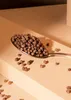 KoRo I Soja Protein Crispies mit Kakao und 58 % Protein 1 Produktbild-Vorschau 6