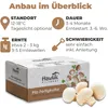 Hawlik Pilzbrut Champignon Mix Probierset klein – Pilze Produktbild-Vorschau 5