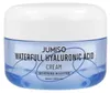 Jumiso Waterfull Hyaluronic Acid Cream Produktbild-Vorschau 6