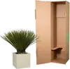 Lilia palmowa Yucca rostrata Ø30 cm ↕80 cm Egzotyczna Podgląd zdjęcia produktu 3