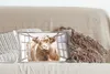 MuchoWow® Zierkissen Sofakissen Wohnzimmer Dekokissen 50x30 Produktbild-Vorschau 4