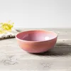 Villeroy & Boch Müslischale PERLEMOR CORAL DH 17x6.60 cm Produktbild-Vorschau 4