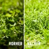Compo Rasendünger gegen Unkraut + Moos 6 kg Nachfolger Produktbild-Vorschau 13