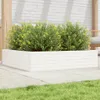 Pflanzkübel Weiß 100x100x23 cm Massivholz Kiefer Produktbild-Vorschau 2