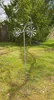 Sesua Metall Gartenstab Fahrrad silber 160 cm Gartenstecker Produktbild-Vorschau 3