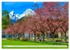 Urlaub im Berchtesgadener Land (Wandkalender 2027 DIN A2 Produktbild-Vorschau 8