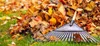 PK Dünger Herbst Universal Herbstdünger Kalium Phosphat Produktbild-Vorschau 6