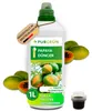 Purgrün -Papaya-Dünger 1 Liter Produktbild-Vorschau 1