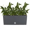 Prosperplast Blumentopf | Rato Case | Schwarz | 60 cm Produktbild-Vorschau 6