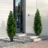 zestaw 2 sztucznych roślin - Sztuczne cedrowe drzewko Podgląd zdjęcia produktu 8