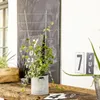 Windhager Blumenstütze 77x34cm 77 x 34 cm Produktbild-Vorschau 2