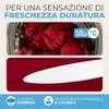 Materasso pieghevole ELONEO, materasso per ospiti, Anteprima dell’immagine prodotto 6