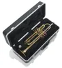 Aligátor GC-Trumpet Náhled obrázku produktu 12
