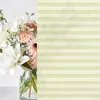 Pure Plissee, Premium, Polyester-Stoff, 100 x 150 cm, creme Produktbild-Vorschau 2
