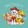 4x Paw Patrol Zauberhandtuch Kinder für Jungen & Mädchen - Produktbild-Vorschau 6