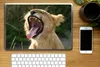 MuchoWow® Laptop Aufkleber Sticker Cover Natur - Löwe - Produktbild-Vorschau 2