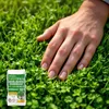 Graines de gazon avec micro-trèfle Pipolina, 10 kg pour 400 Voir les images du produit 3