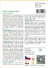 SAFLAX - koření vavřínový strom - Laurus nobilis - 6 Semena Náhled obrázku produktu 3