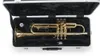 Gator Cases GC-TRUMPET, Schwarz, Produktbild-Vorschau 13