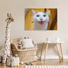 MuchoWow® Poster Katze - Tier - Weiß 60x40 cm - Produktbild-Vorschau 7