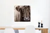 MuchoWow® Poster Schottisches Hochlandrind - Schottische Produktbild-Vorschau 5