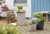LECHUZA-Pflanzgefäß CLASSICO Color 21 Sandbraun | Produktbild-Vorschau 6