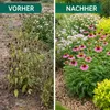 10,5  kg Hornspäne Naturdünger für Obst und Gemüse Dünger Produktbild-Vorschau 4