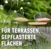 Grundstoff Essig COMPO  Unkrautbeseitigung Essig 3 l, Produktbild-Vorschau 6