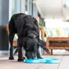 SLODOG protihltací miska, Barva: Černá Náhled obrázku produktu 9