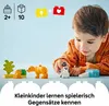 10442 - LEGO DUPLO - Familles d'animaux sauvages : Voir les images du produit 25