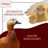 Supravit Geflügelkörnerfutter 5kg| Ohne Gentechnik | Produktbild-Vorschau 5