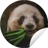 MuchoWow® Produktbild-Vorschau 1