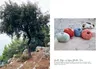 Lana Grossa LINEA PURA No. 15 (Strickmagazin)   Produktbild-Vorschau 7