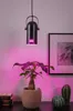 Paulmann Neordic Lampe suspendue Lavea Voir les images du produit 5