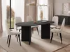 MIRJAN24 Tisch Gelizo 22 mm, Esszimmer Tisch (Farbe: Produktbild-Vorschau 2