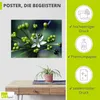 ARTland Poster Bärlauchblüte Größe: 40x30 cm Produktbild-Vorschau 2