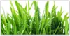 Tulup Leinwand-Bilder 140x70 Wandbild Canvas Kunstdruck Produktbild-Vorschau 1